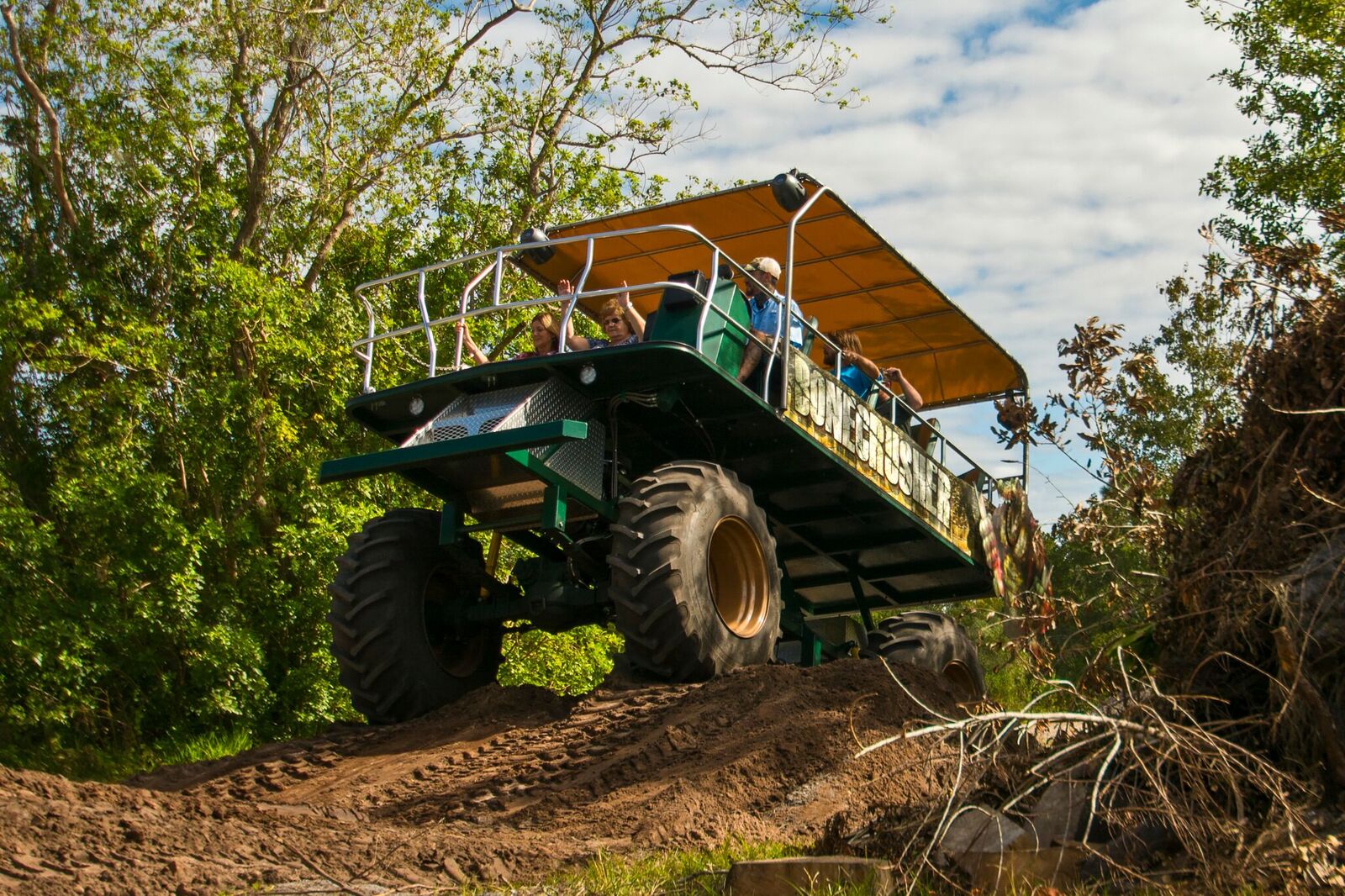 gatorland swamp buggy