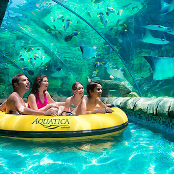 Seaworld Parks Re Open June 11 Seaworld