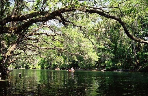 Blue SPrings