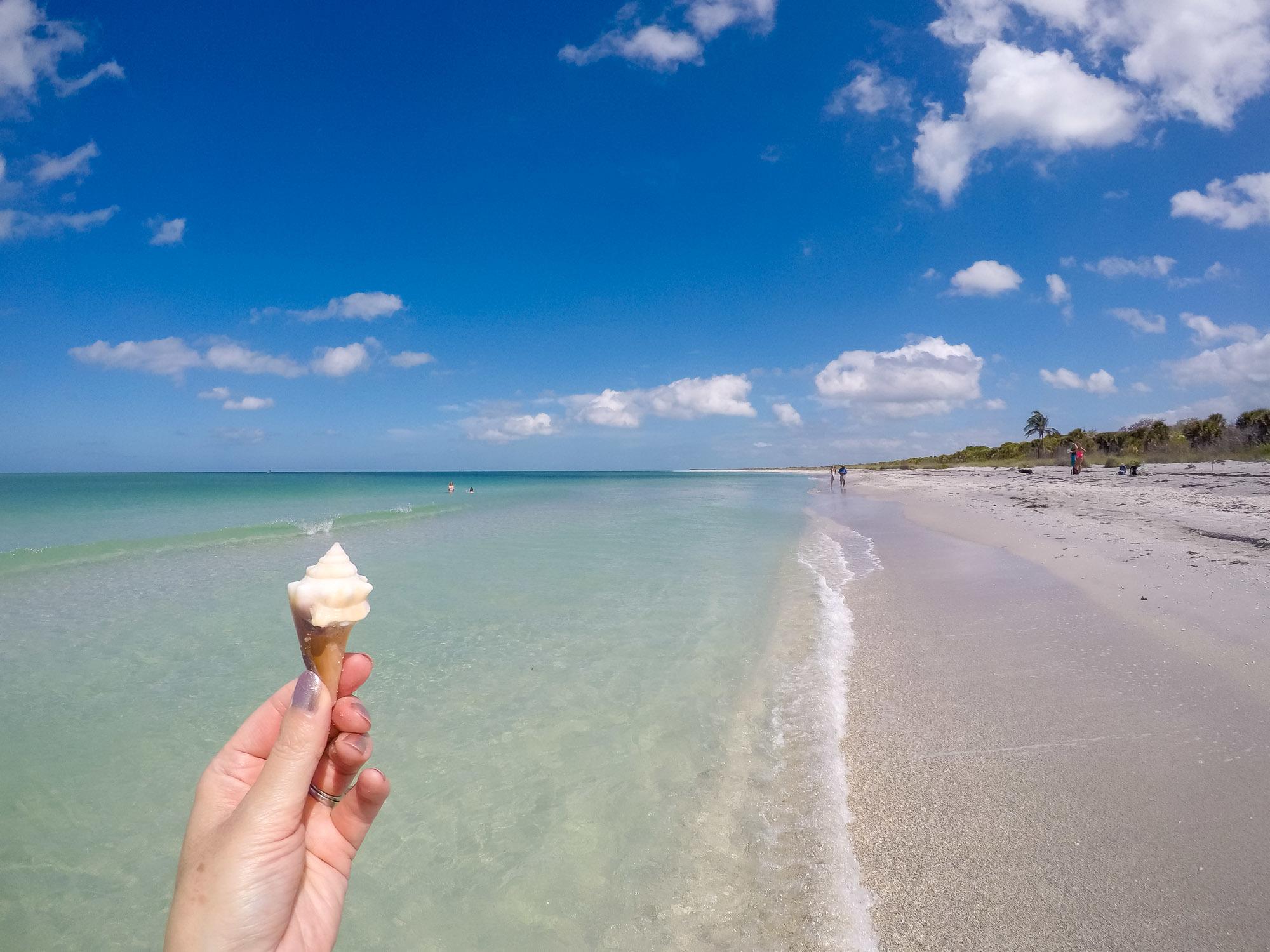 fort-myers-cayo-costa-beach-shelling