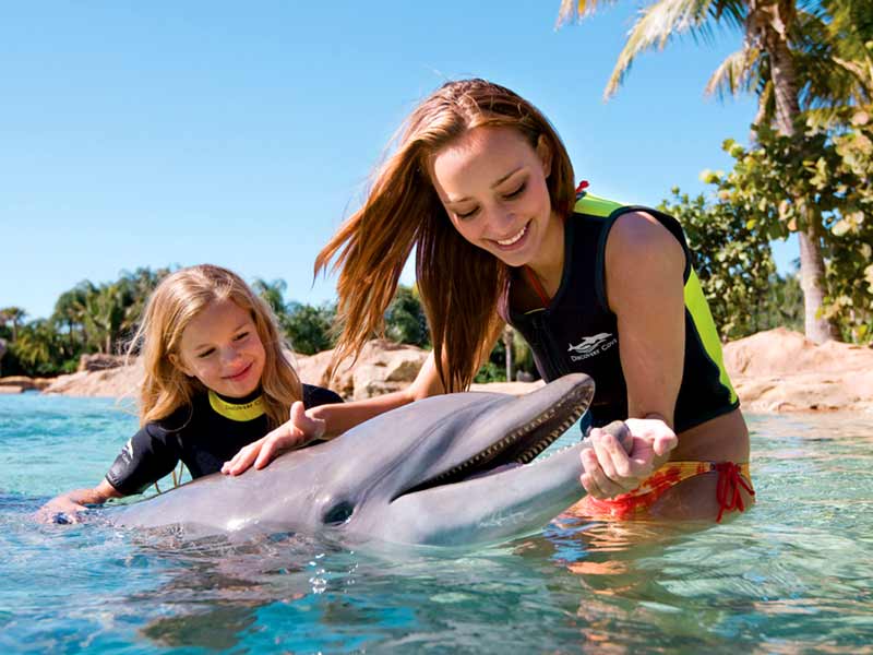 Win 4 Discovery Cove Ultimate Tickets