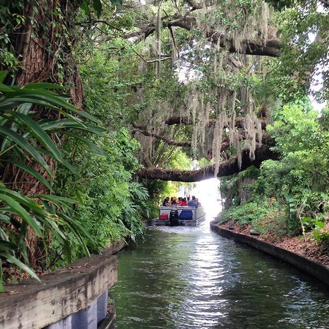 Winter Park Boat Tour