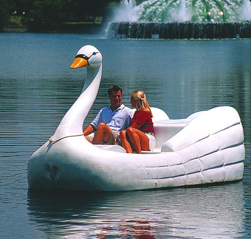City Tour - Swan Boats on Lake Eola Downtown Orlando