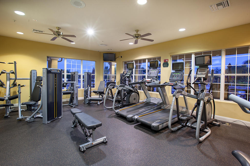 Vista Cay Gym