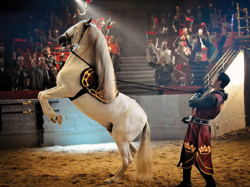 medieval times orlando medieval times orlando