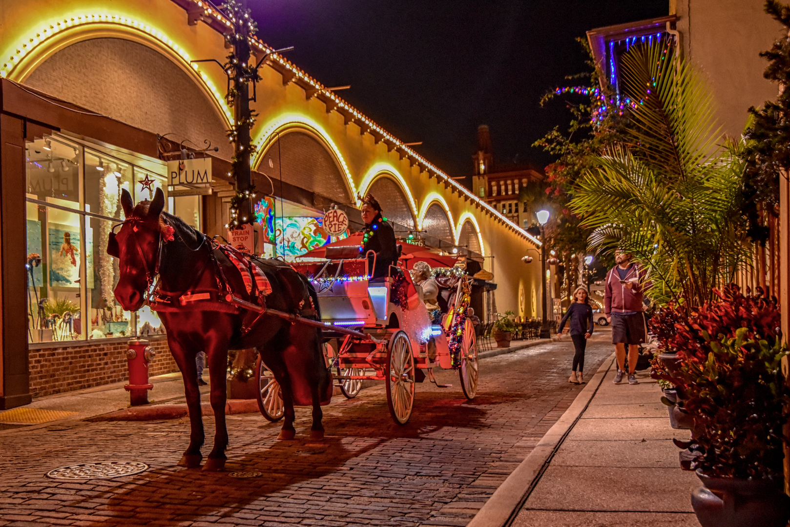 Horse and carriage rides