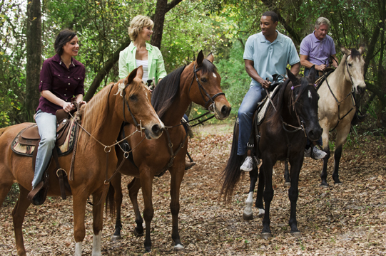 Seminole Trails
