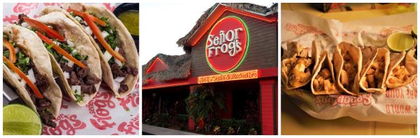 Senor Frogs