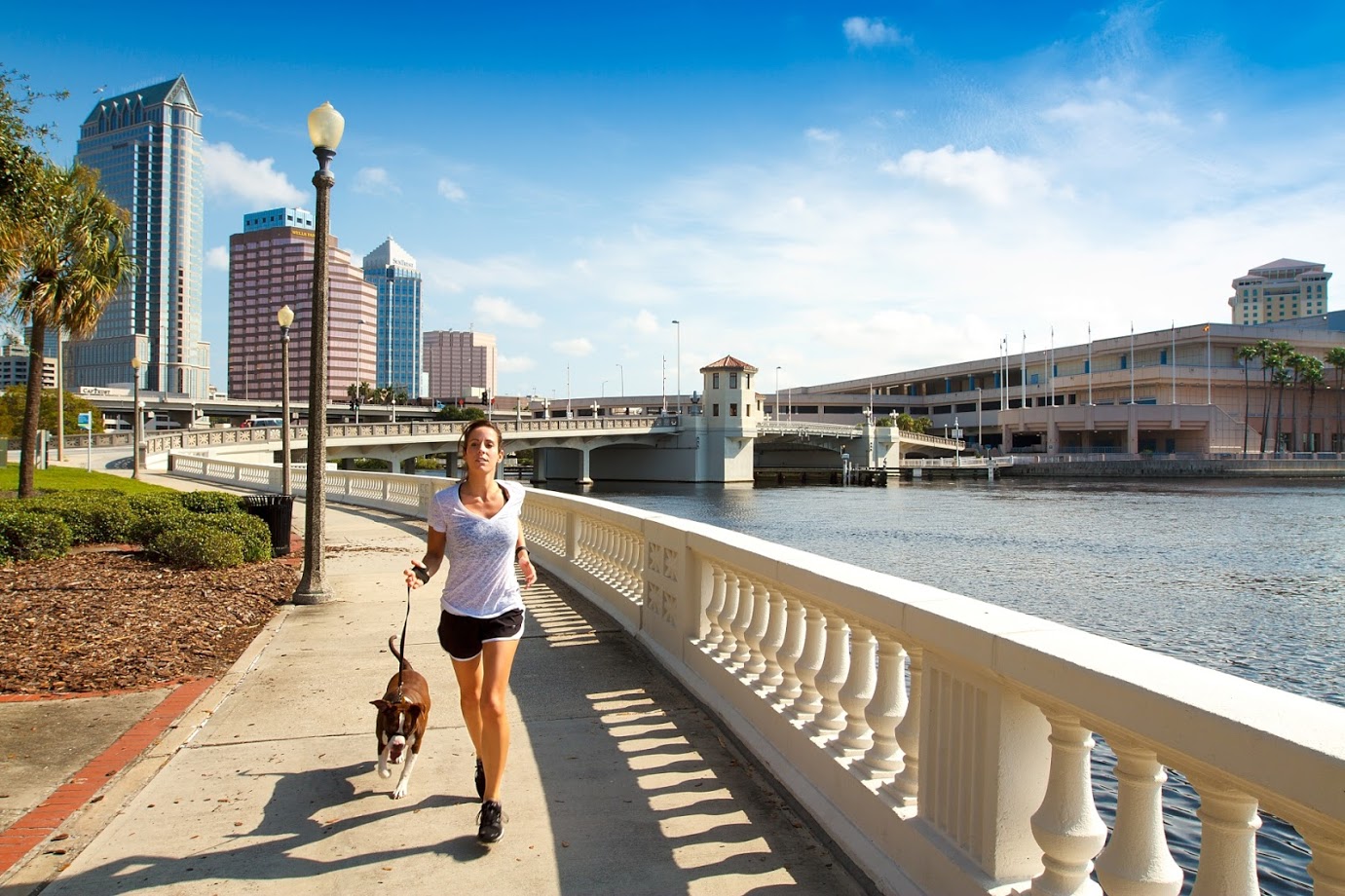 Tampa running