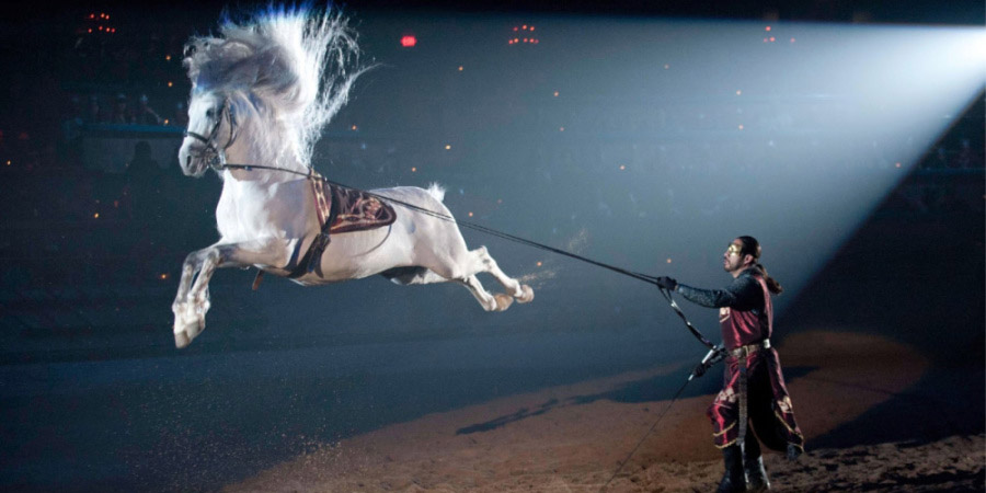 Medieval Times