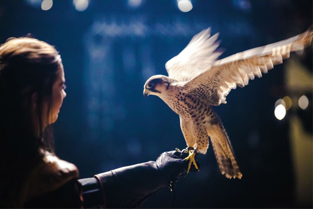 Medieval Times