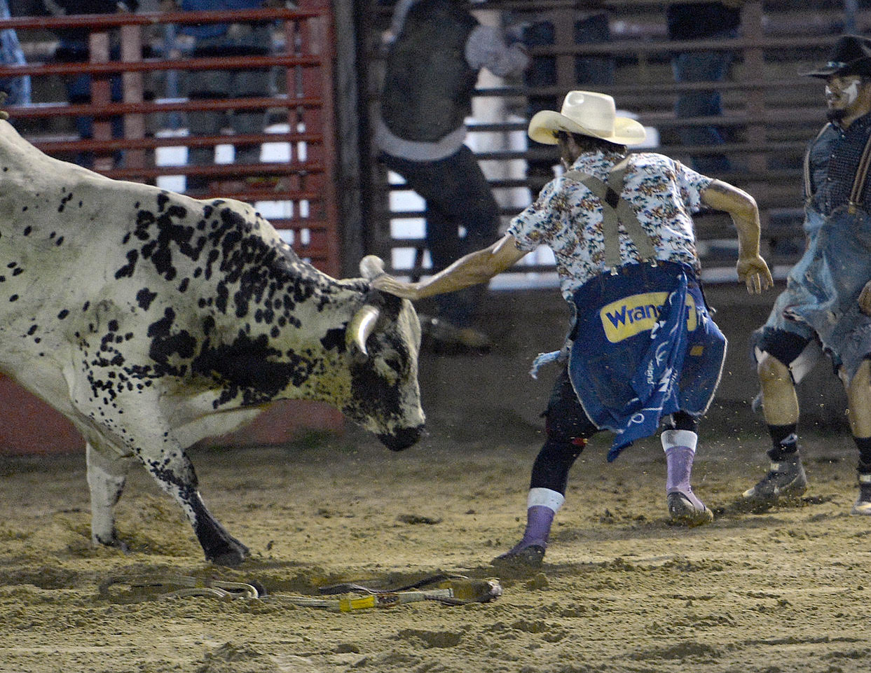 rodeo bull fighter