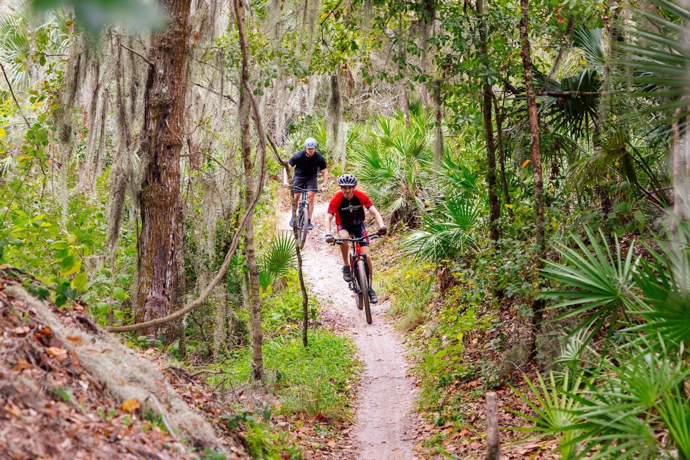 Tampa Bike Trails