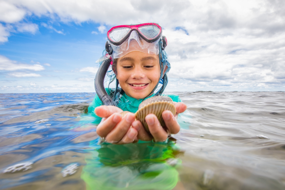 Scalloping