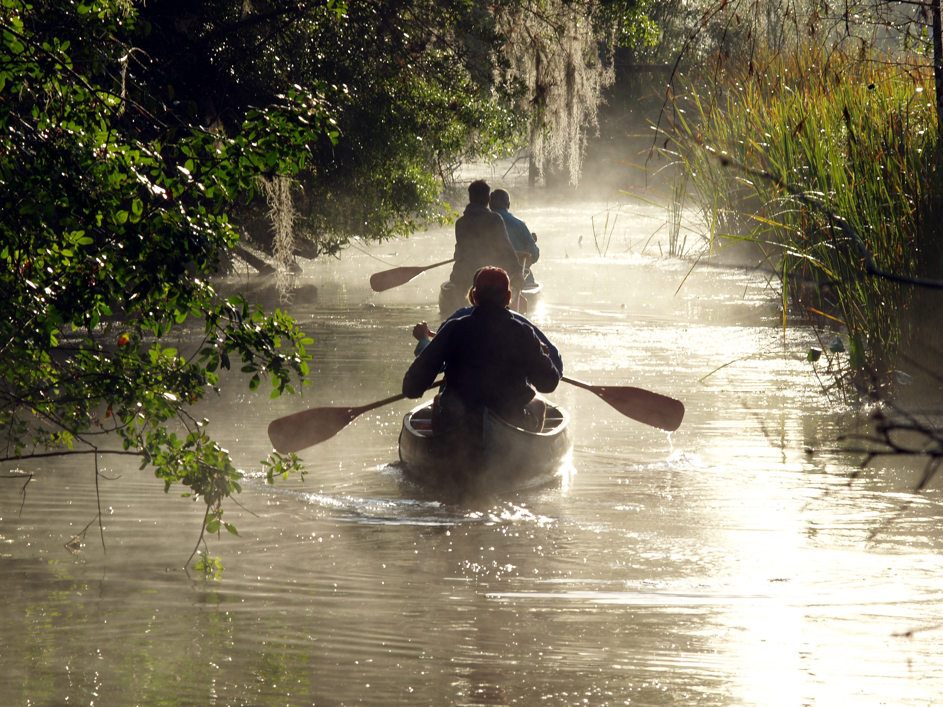 Canoeing Everglades