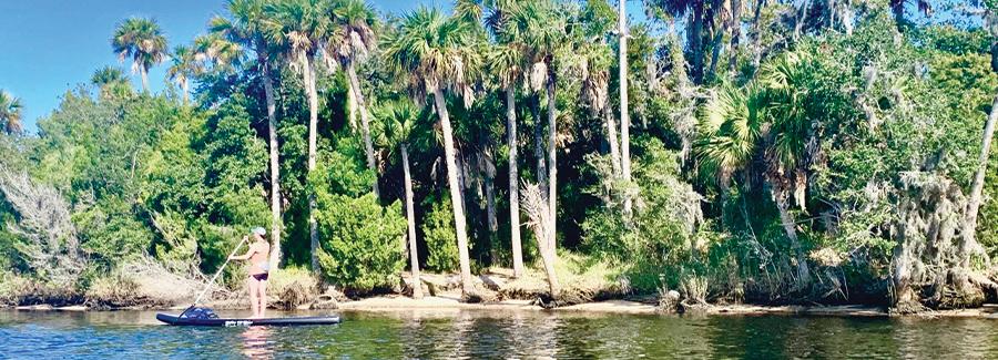 nature