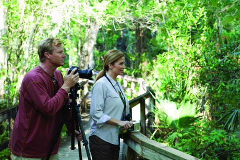 birding