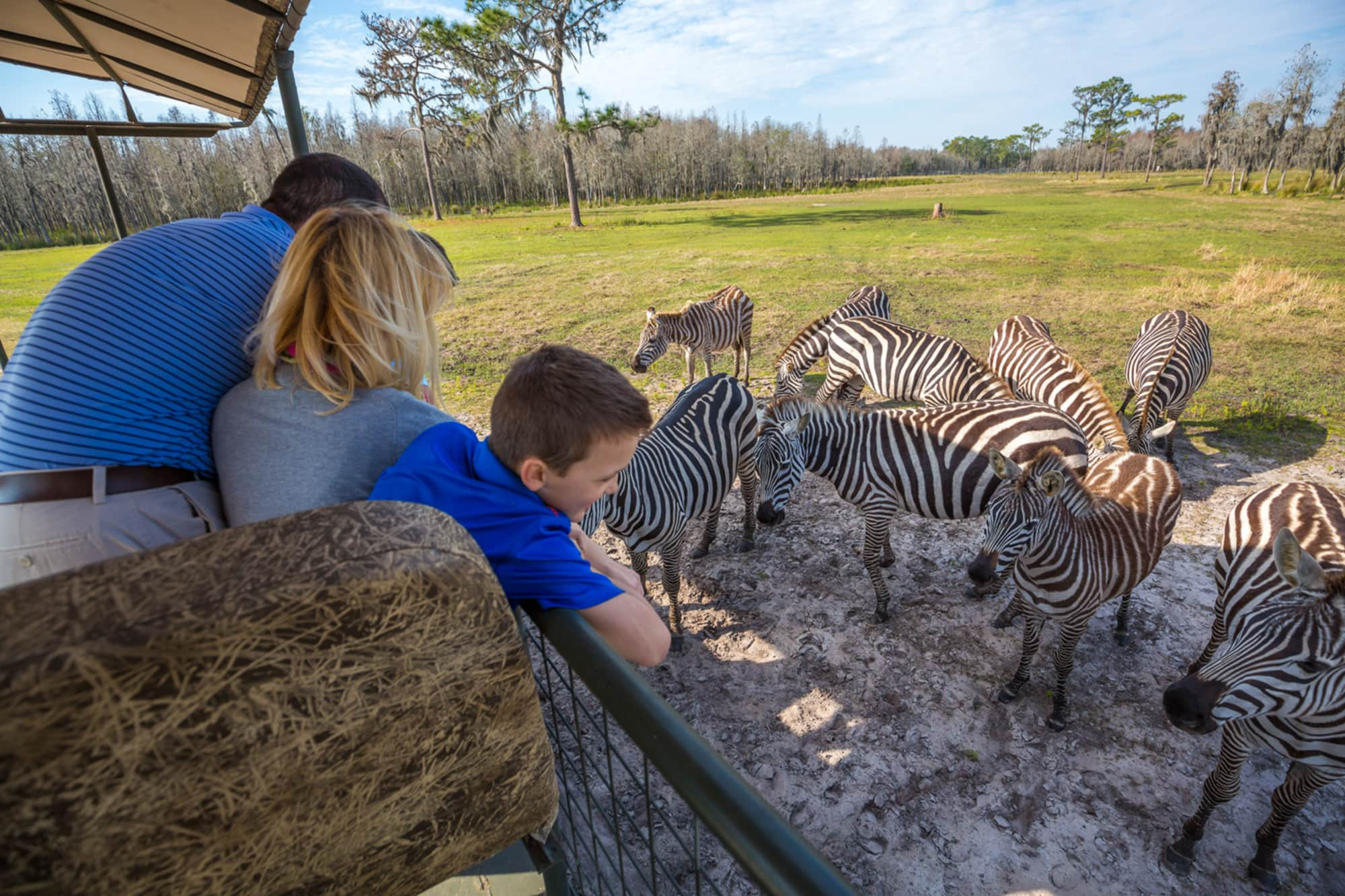 animal safari near orlando fl