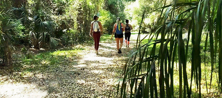 Seminole Trail