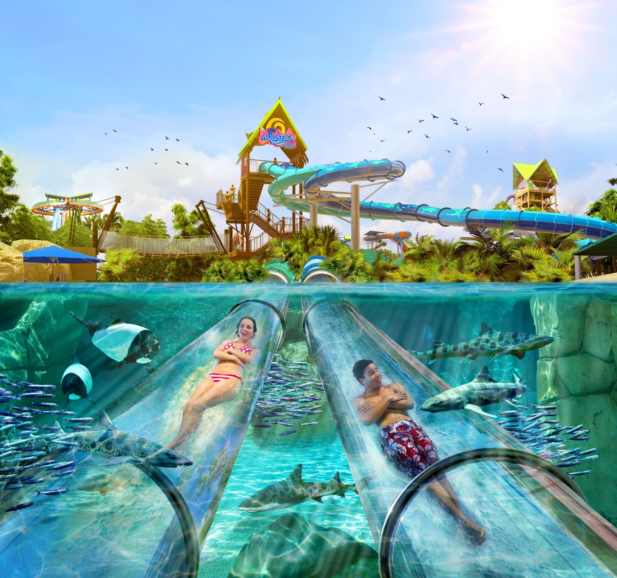 Aquatica Orlando Limited Time Offers - Black Friday Water Park Deals