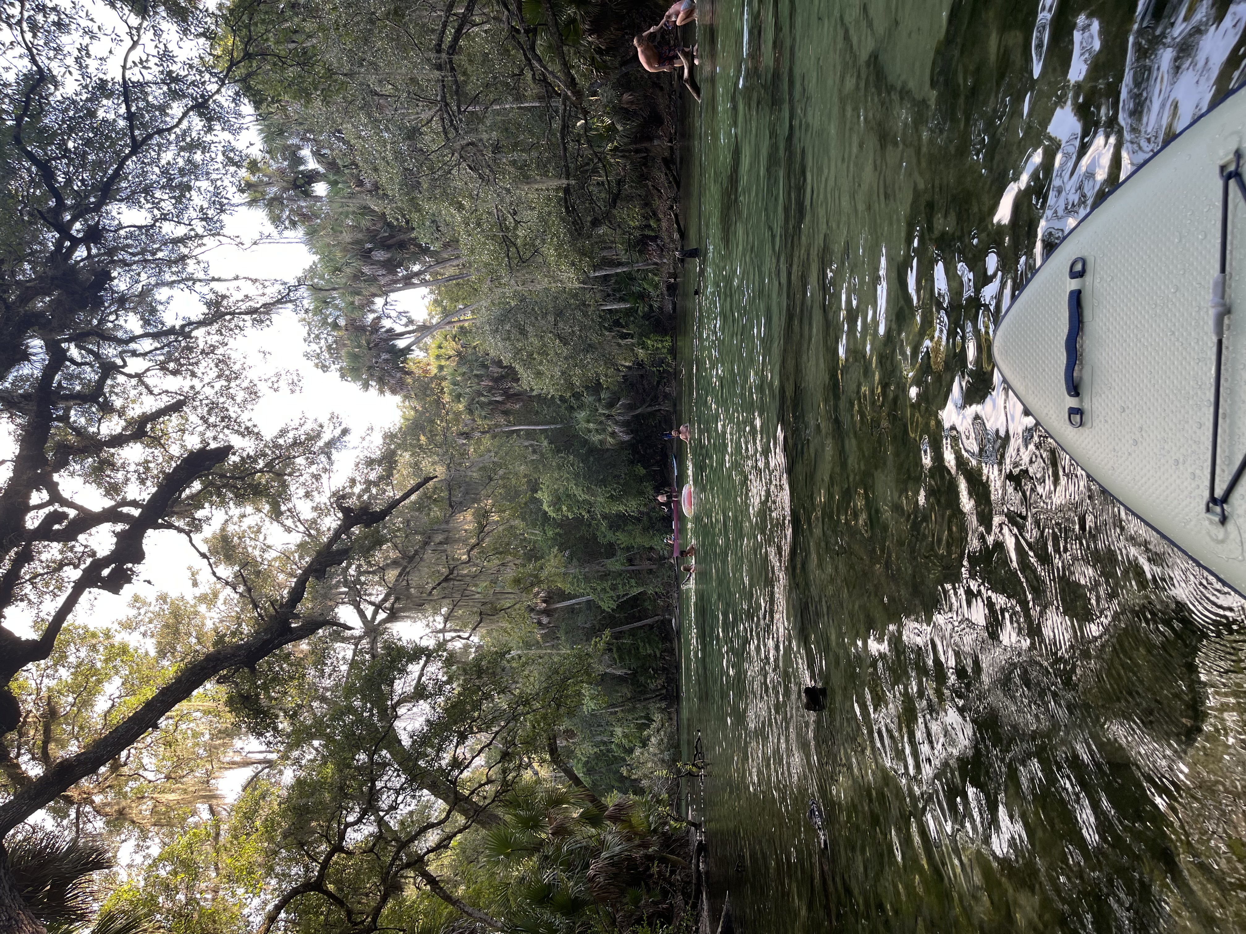 deleon springs