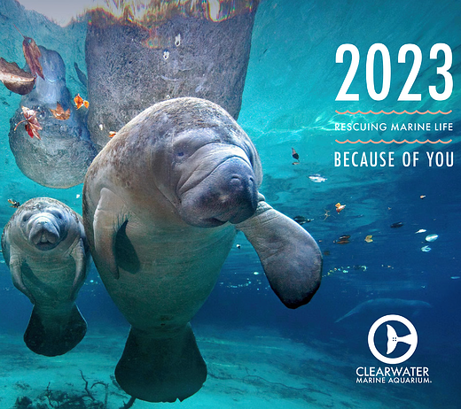Dino Rescue - Clearwater Marine Aquarium