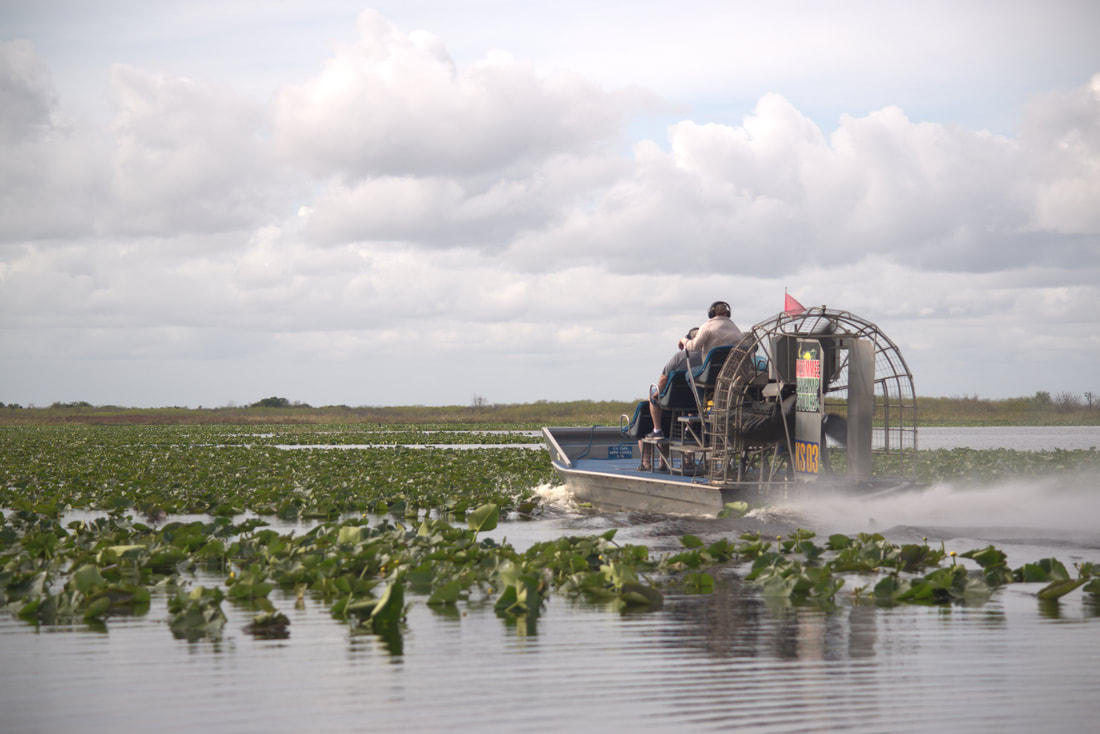 swamp buggy tours kissimmee