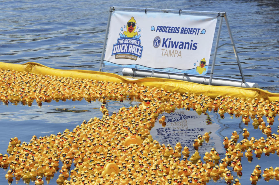 tampa_duckrace