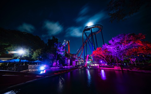 SheiKra at Night