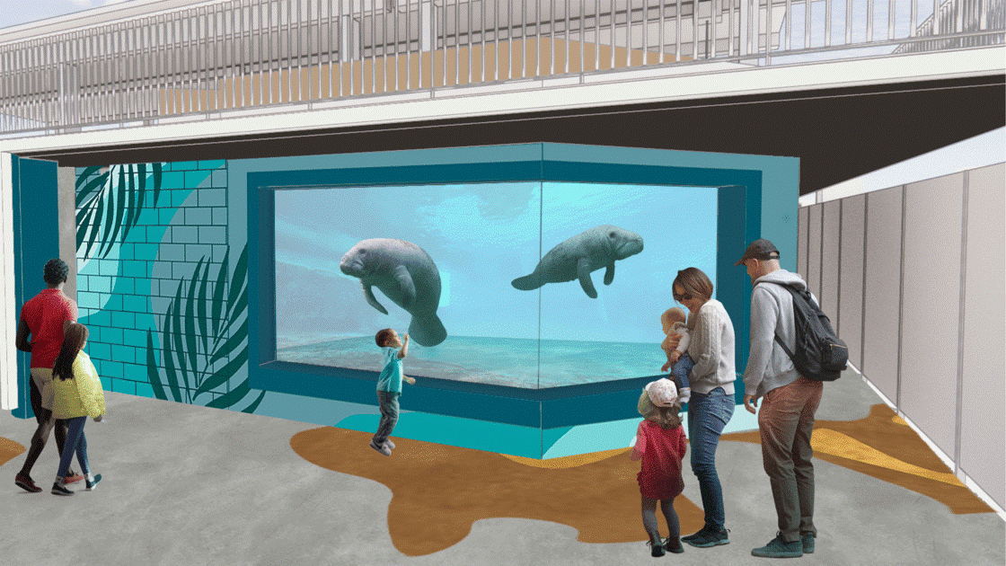 New Happenings at Clearwater Marine Aquarium
