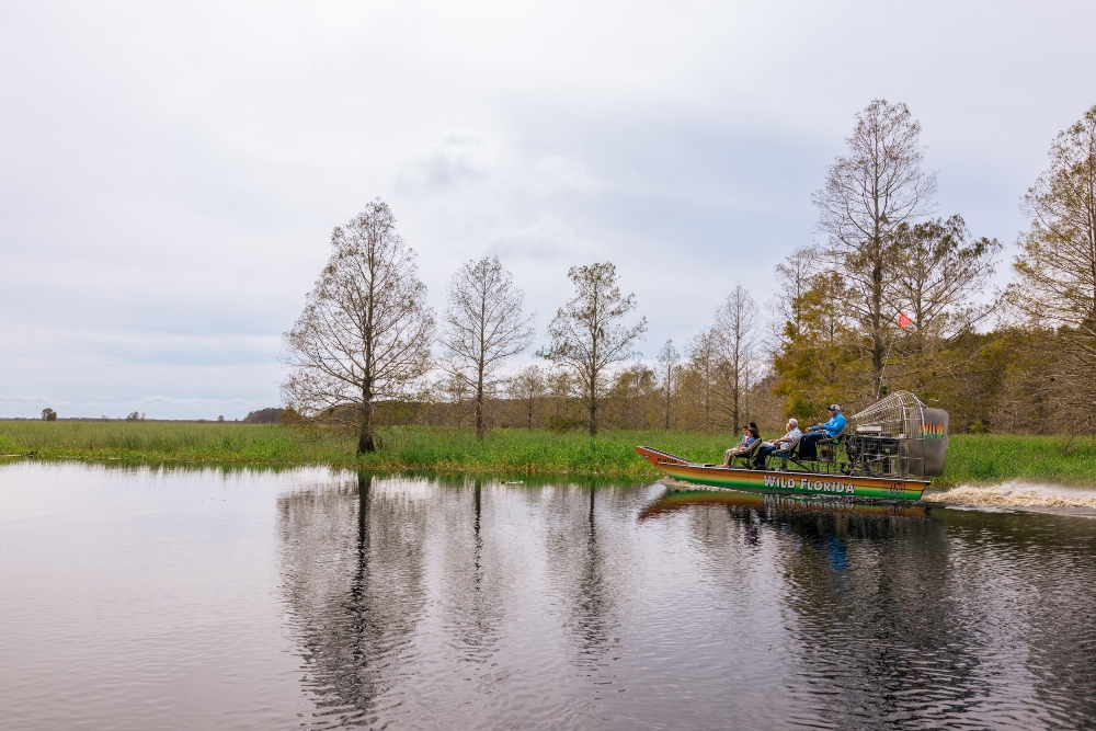 Wild Florida - Airboats - 17 (1)