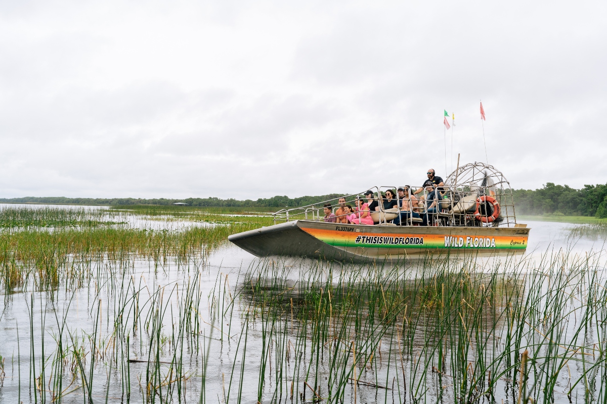 Wild Florida - Airboats - 72 (1)