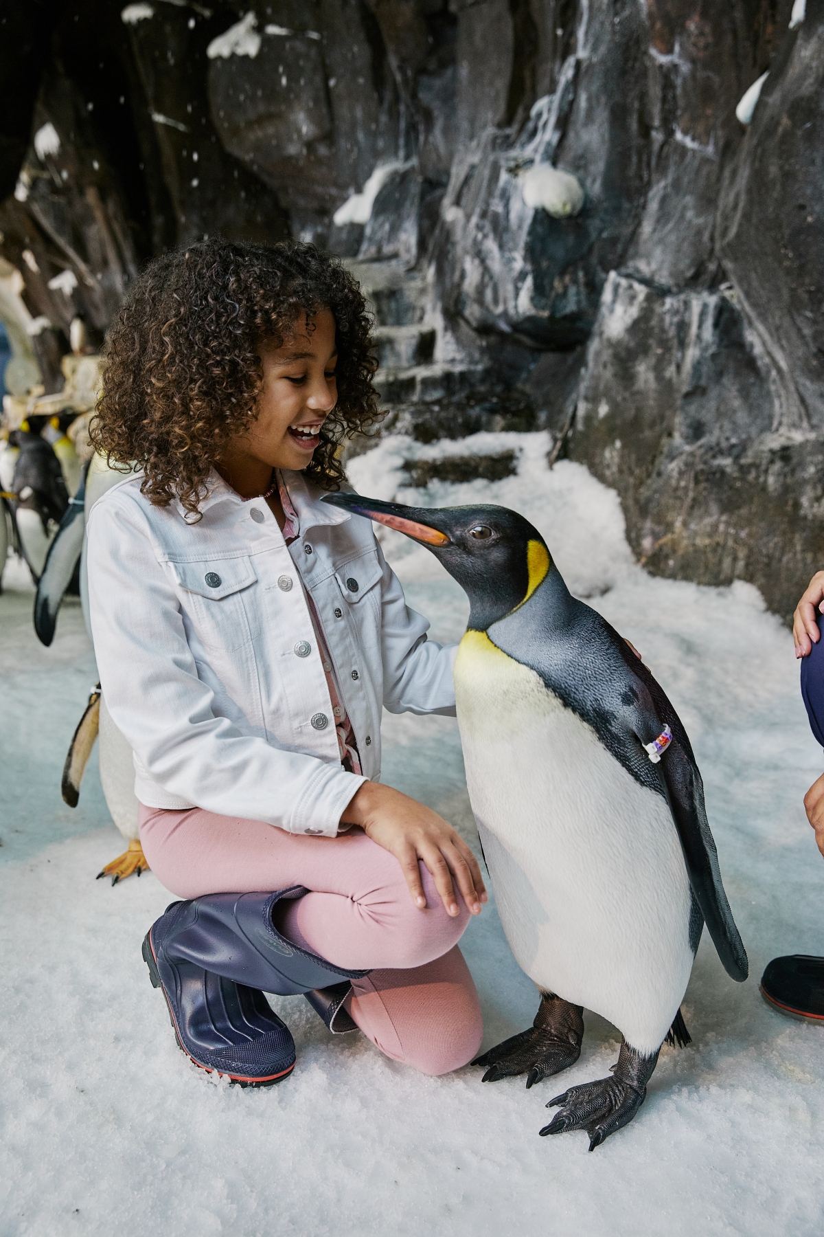 SeaWorld’s Popular “Inside Look” Program is Back!