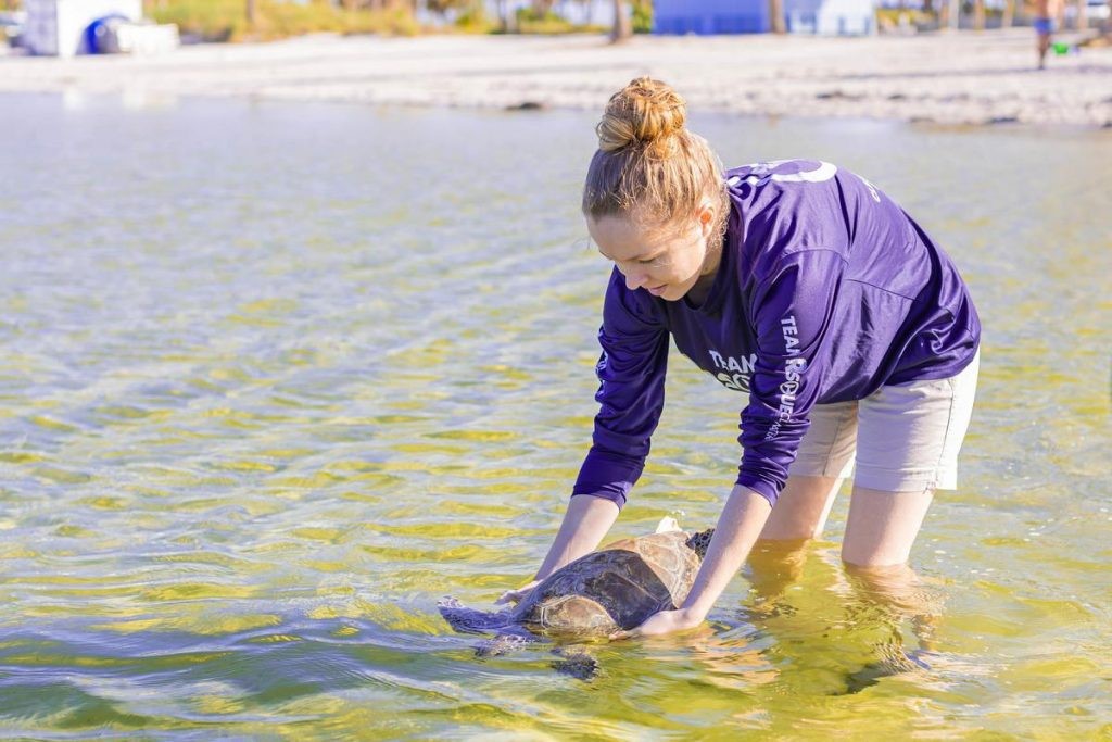 Be Inspired at Clearwater Marine Aquarium this Holiday Season