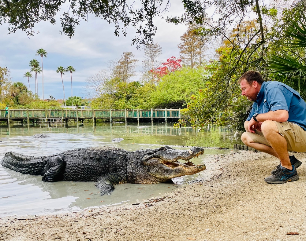 Gatorland Launches Official Gatorland Global International Conservation Organization