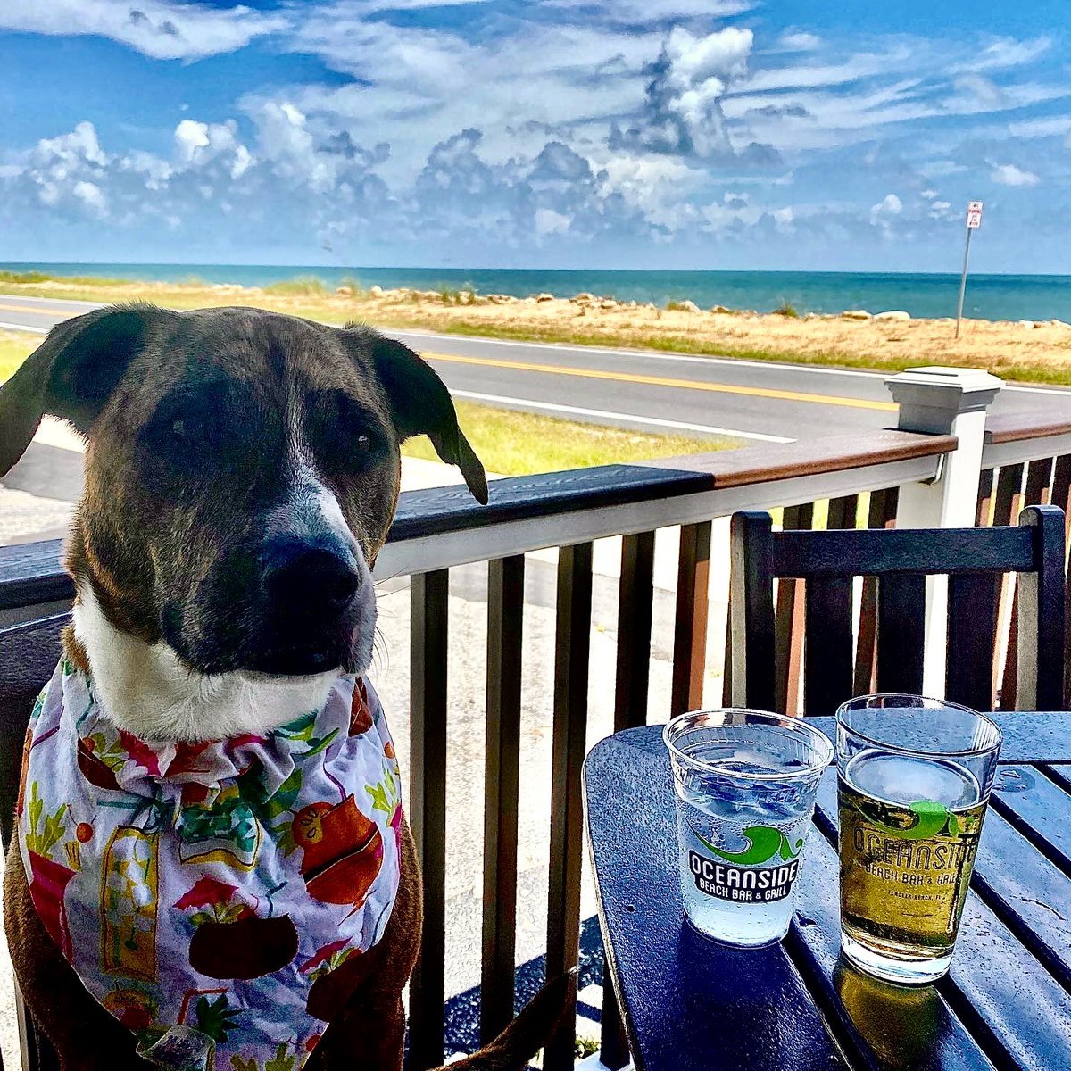 flagler_food
