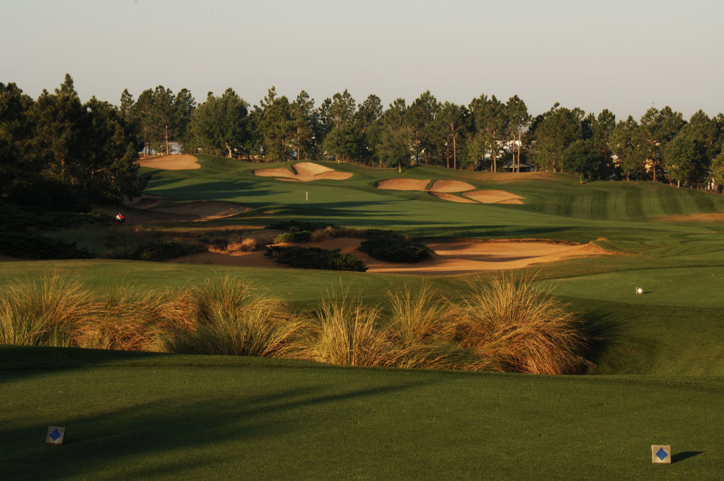 polk_southerndunes