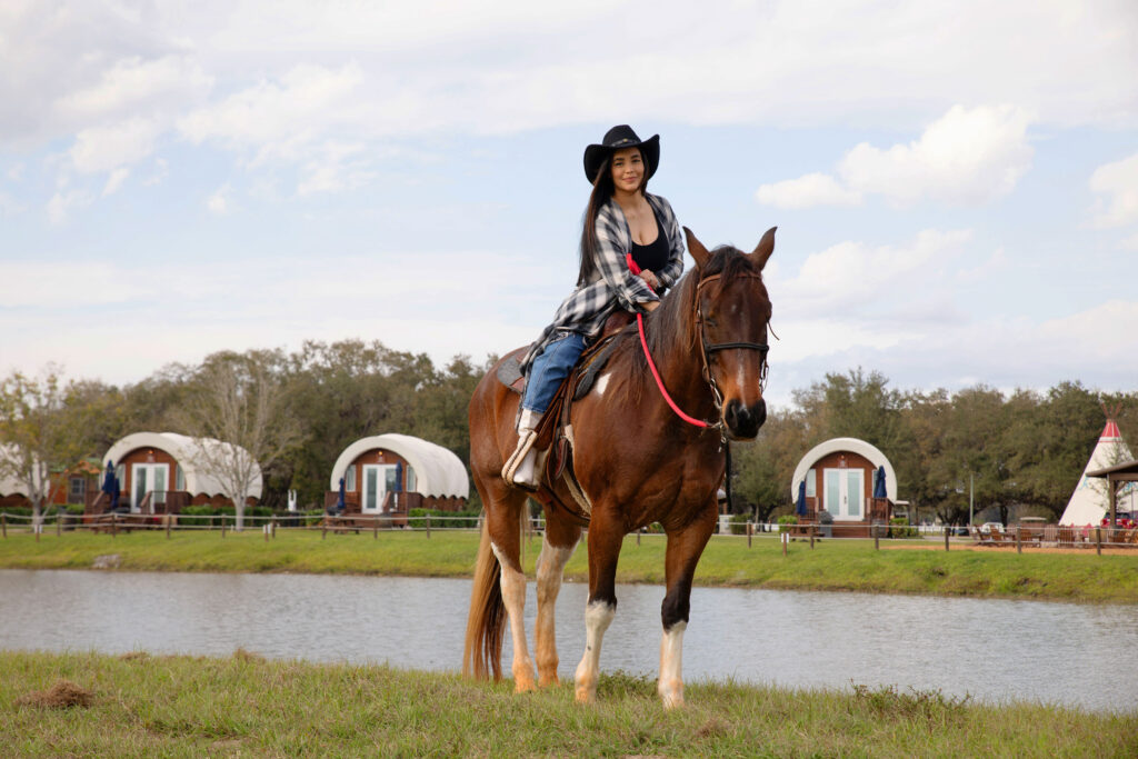 westgate horse