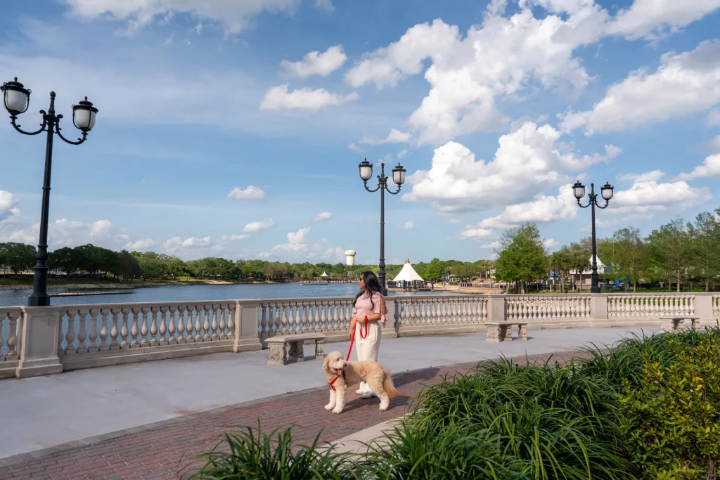 Cranes-Roost.jpg
