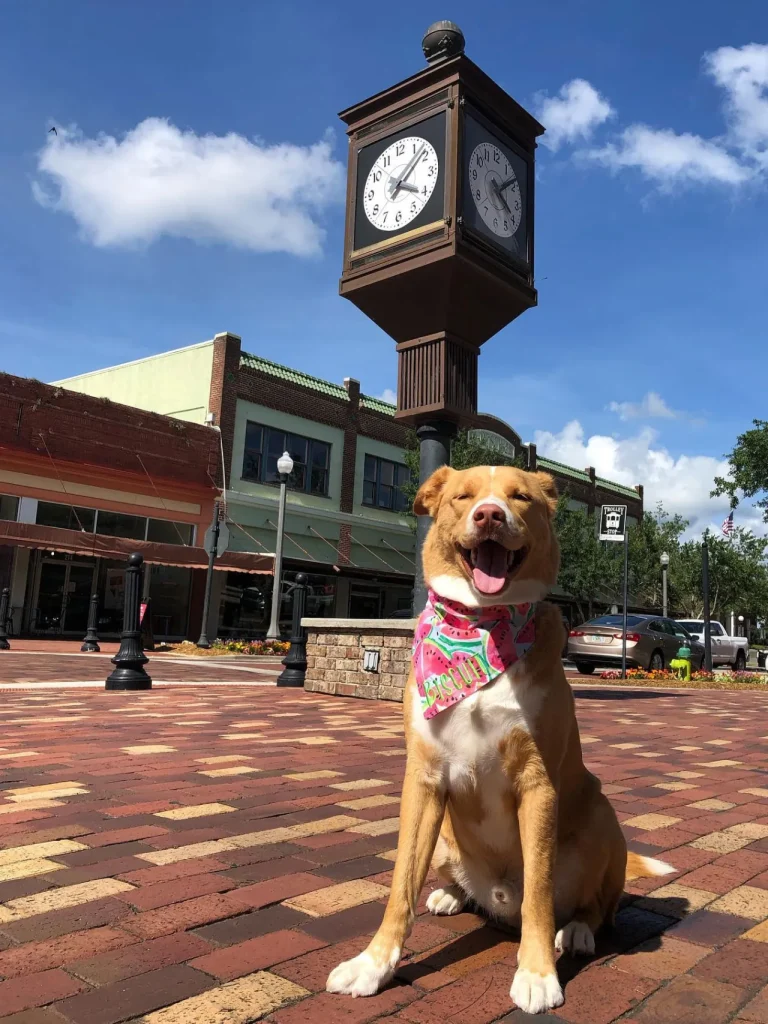 Downtown-Sanford.jpg