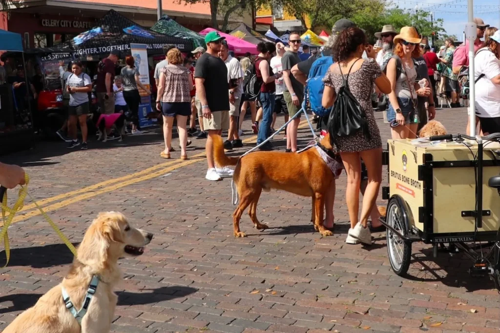 Sanford-Food-Truck.jpg