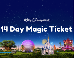 Walt Disney World 14 Day Magic Ticket + Memory Maker 