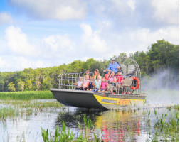 Wild Florida 30 Minute Everglades Tour & Wildlife Park Admission 