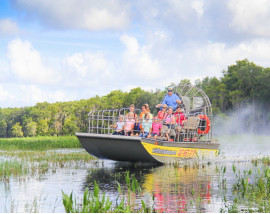 Wild Florida 1 Hour Everglades Tour & Wildlife Park Admission 