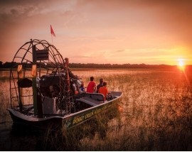 Boggy Creek Orlando One Hour Airboat Sunset Tour