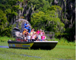 Wild Florida Half Day Adventure Package including Lunch