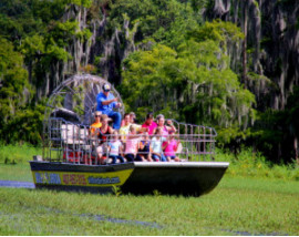 Wild Florida Half Day Adventure Package including Lunch