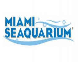 Miami Seaquarium General Admission 