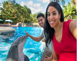 SeaWorld® Dolphin Encounter