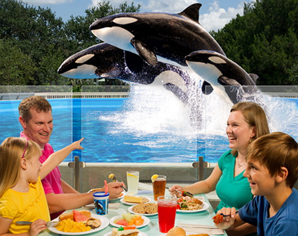 SeaWorld In Park Experiences